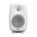 Активные студийные мониторы GENELEC 8030CW