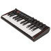 IK MULTIMEDIA IRIG KEYS 2 MINI
