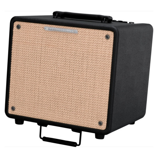 Комбо для акустической гитары IBANEZ T80II TROUBADOUR ACOUSTIC COMBO