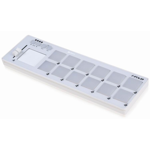 Контроллер и интерфейс ICON i-PAD