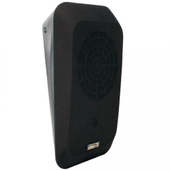 Inter-M IWS-10 ( b )