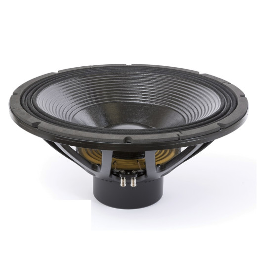 Динамик EIGHTEEN SOUND 21iDK/2