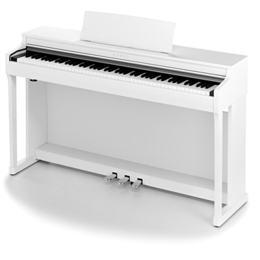 ЦИФРОВЫЕ ПИАНИНО, РОЯЛИ И ОРГАНЫ KAWAI CN25W