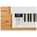 ЦИФРОВЫЕ ПИАНИНО, РОЯЛИ И ОРГАНЫ KAWAI CN37W