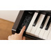 Kawai KDP120R