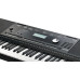 Kurzweil KP100 LB