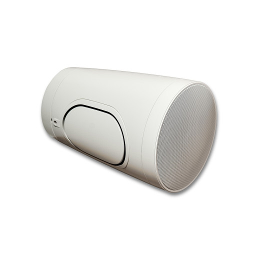 SVS Audiotechnik PAF-PW6W PRO подвесные