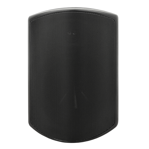 SVS Audiotechnik WSP-6B Pro настенные