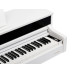 ЦИФРОВЫЕ ПИАНИНО, РОЯЛИ И ОРГАНЫ Aurora AU140-WH
