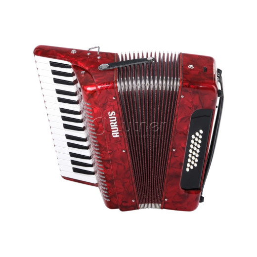 Aurus JH2019-R аккордеон и баян