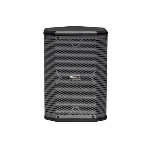 Активная акустическая система Biema X-1