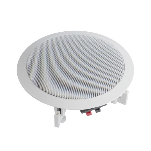 Потолочные CVGaudio CR516E