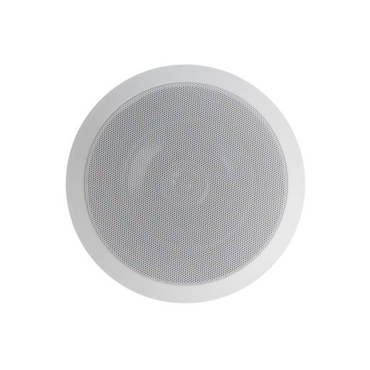 Потолочные CVGaudio CR616E