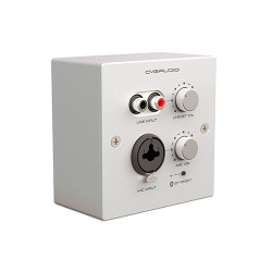 CVGaudio PW-IN/W