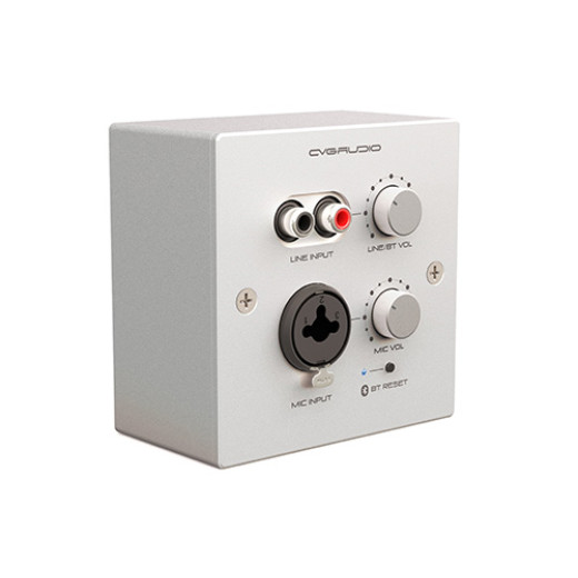 Регуляторы громкости для акустических систем CVGaudio PW-IN/W