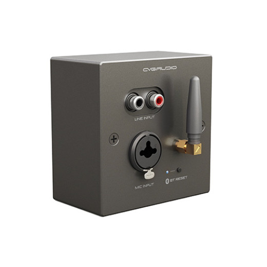 Регуляторы громкости для акустических систем CVGaudio PW/EX-IN/BL