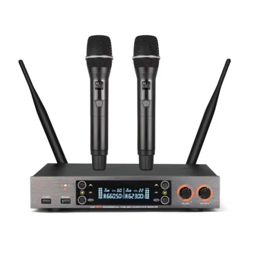 С 2-мя микрофонами LAudio LS-201-2M