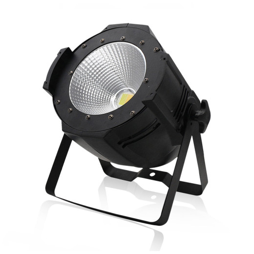 Прожекторы LED PAR LFocus PL-69