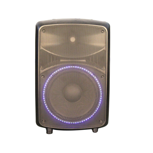 Leem ABS-15AL-II активная акустическая система