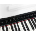 Medeli DP650K-GW ЦИФРОВЫЕ ПИАНИНО, РОЯЛИ И ОРГАНЫ
