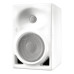Neumann KH 120 A W активные студийные мониторы