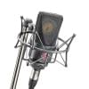 Конденсаторные микрофоны Neumann TLM 103 mt studio set