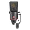 Конденсаторные микрофоны Neumann TLM 170 R mt