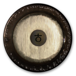 Paiste PG81630 Planet Gong F2 Platonic Year