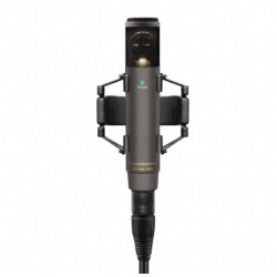 Sennheiser MKH 800 TWIN NX