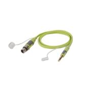 Soundking BXJ041-5M