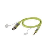 Soundking BXJ041-5M