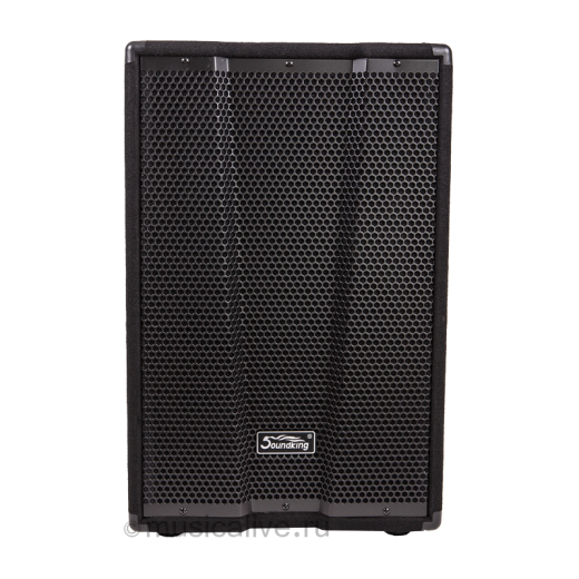 Soundking KJ12A активная акустическая система