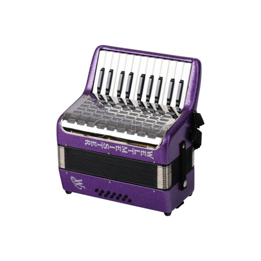 Weltmeister Kinderakkordeon аккордеон и баян