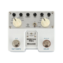 MOOER Reecho Pro