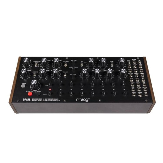 MOOG DFAM синтезаторы