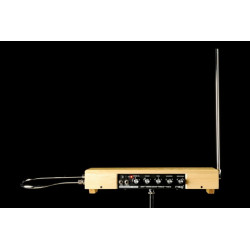 MOOG Etherwave Theremin Plus (товар снят с производства)