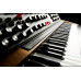MOOG Minimoog Voyager XL аналоговые синтезаторы