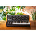 Moog Subsequent 25