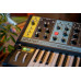 Moog Grandmother аналоговые синтезаторы