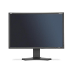 NEC MultiSync PA302W