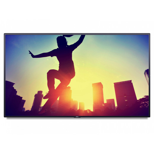 NEC MultiSync V484-RPi