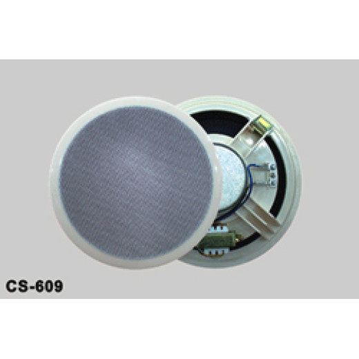 Трансляционная акустическая система NUSUN CS609