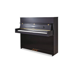 PETROF P 118C1(0801)