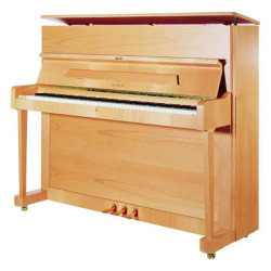 PETROF P 118P1(8107)