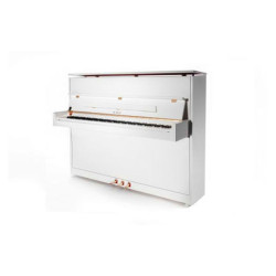 PETROF P 118S1(0001)