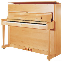 PETROF P 118S1-Silver(2357)