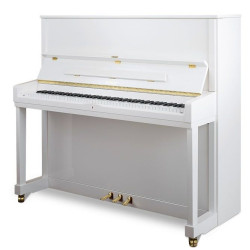 PETROF P 131M1(0001)