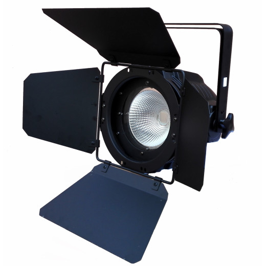 Прожекторы LED PAR PSL PAR COB 150 RGBW