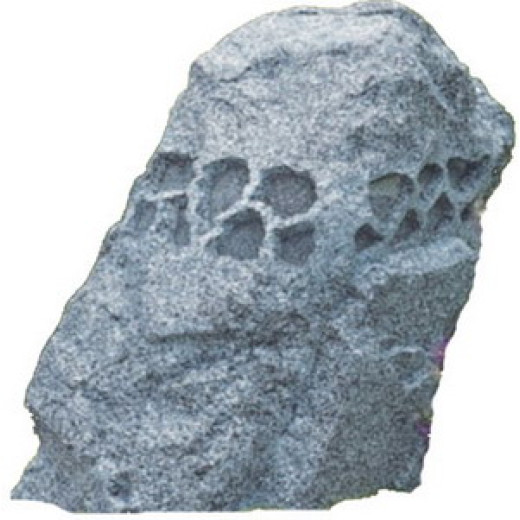 PROAUDIO GS-50 потолочные