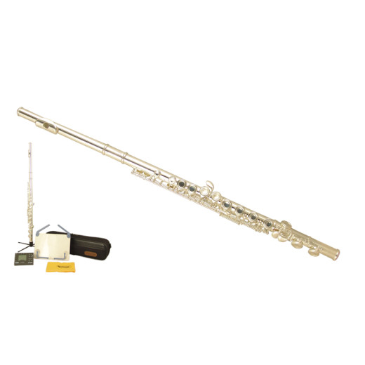 Флейт Wisemann 0901FL